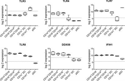 Human Blood CD1c+ Dendritic Cells Promote Th1 and Th17 Effector Function in Memory CD4+ T Cells